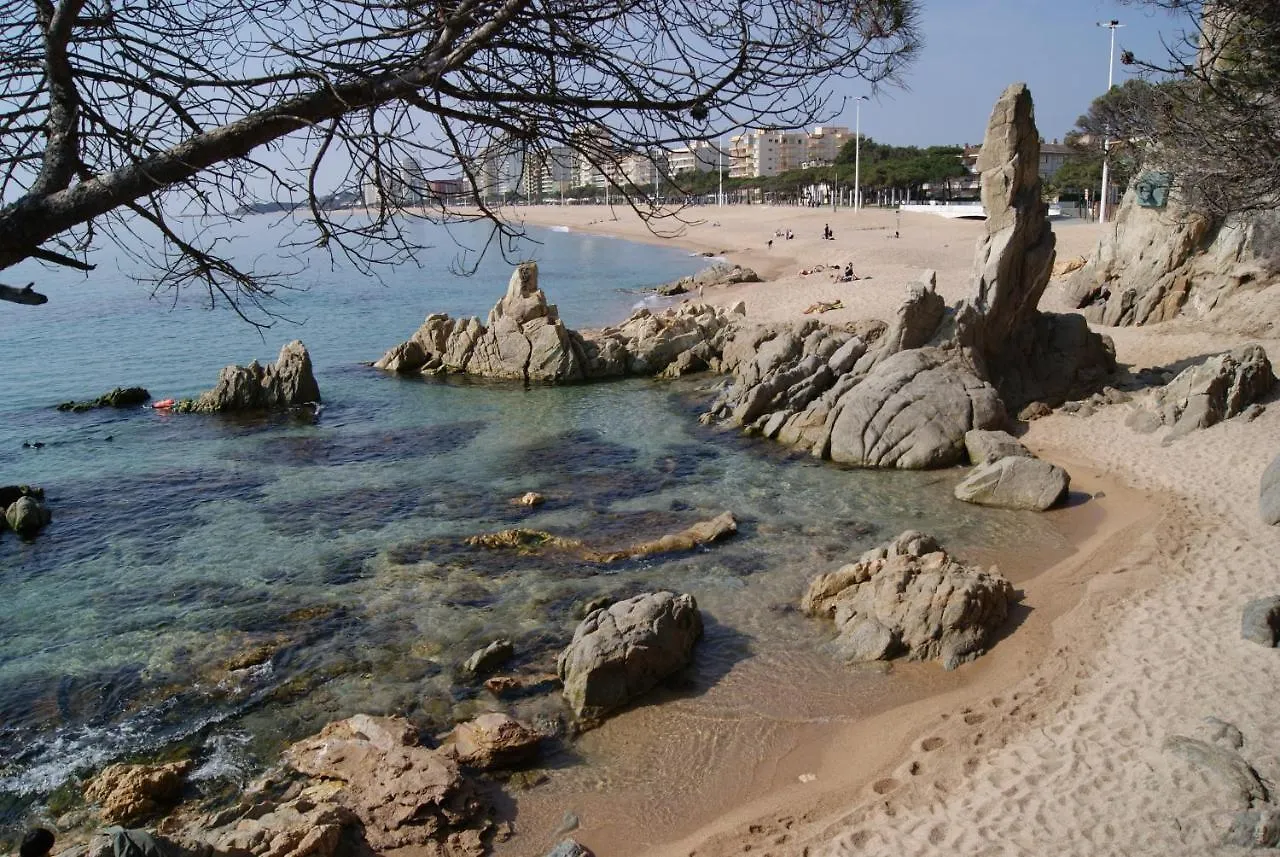 Hotel Serenity Castell-Platja d'Aro 3*,